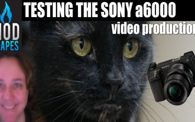 Sony a6000 Video Production Powerhouse!