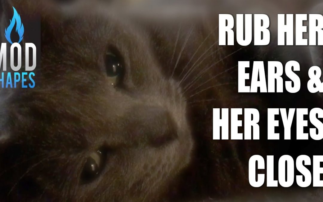 This is adorable!  Her eyes close when I rub her ears…